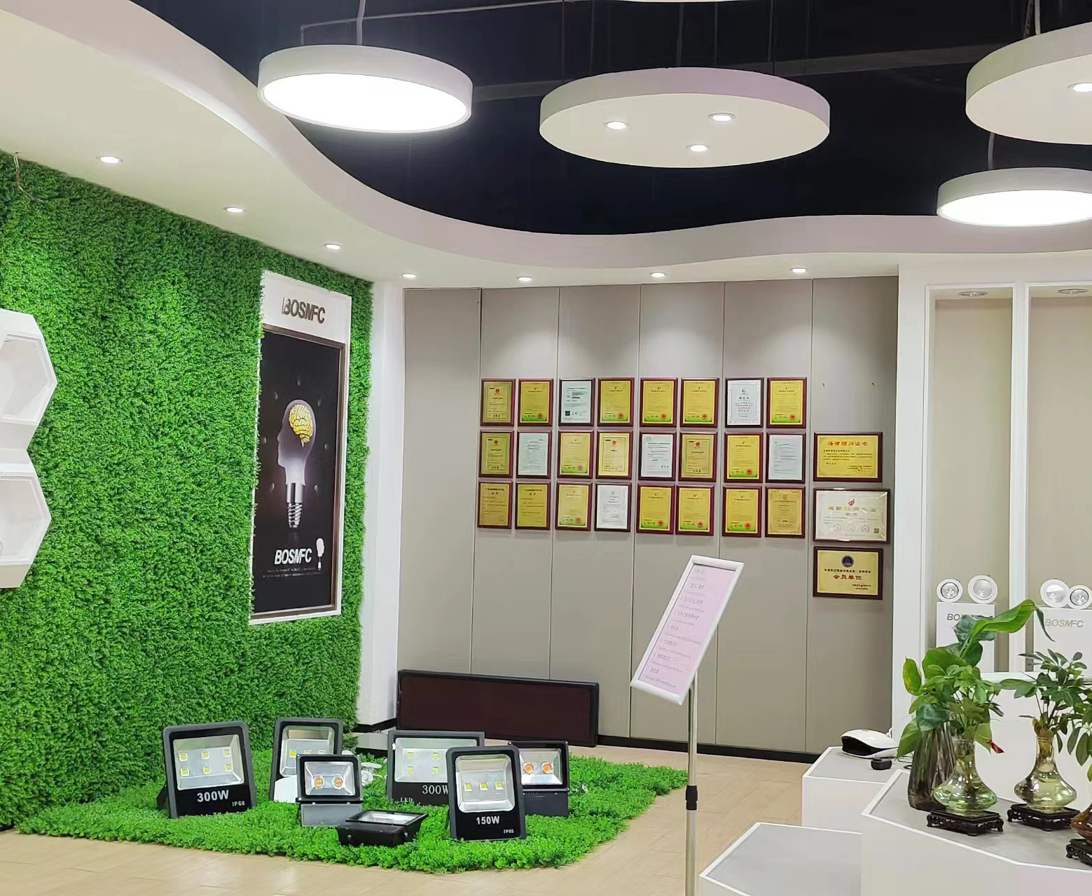 Trung Quốc Dongguan Lanjin Optoelectronics Co., Ltd. hồ sơ công ty