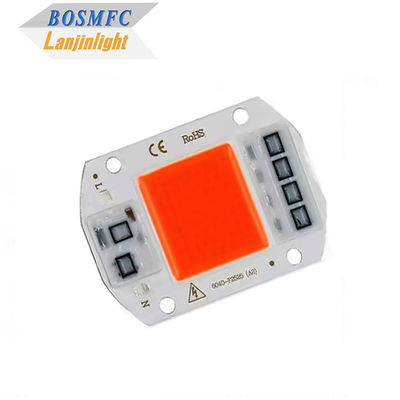 Thực tế Full Spectrum COB LED Chip 50W 100W Cho đèn trồng cây trong nhà